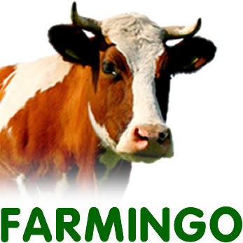 Farmingo's profile picture. Free Farming Classifieds & Farm Directory