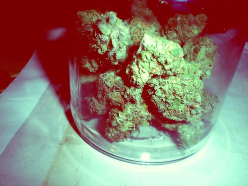 fuckyeahweed's profile picture. The official FuckYeahWeed twitter.