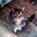 john roan - @jroan70 - Twitter