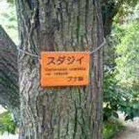 Hiro Suda (@hirosuda) Twitter profile photo