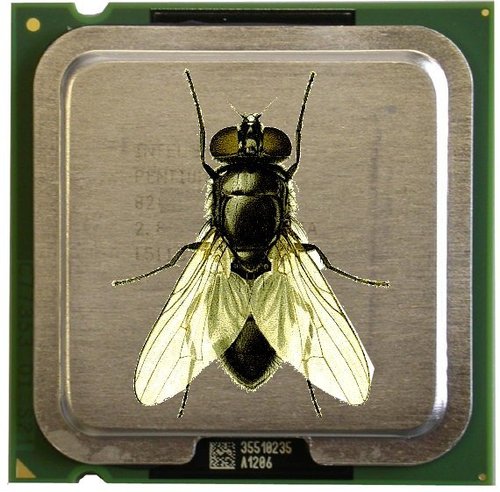 It's flypaper... for tech... if it flies, it'll stick. Everything about tech.