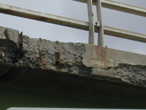 CrisisProgram's profile picture. 