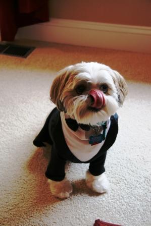 Jeffgreskowiak's profile picture. 