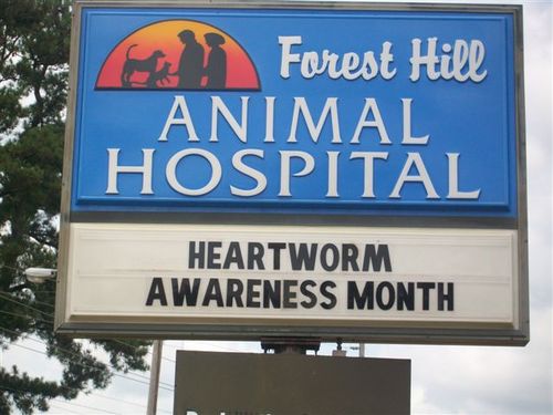 forest_hill_vet's profile picture. 