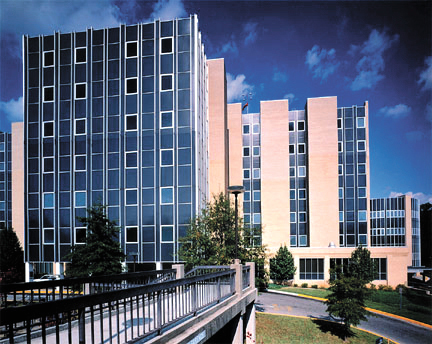 namccares's profile picture. 