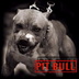John Pilling - @PitbullRS - Twitter