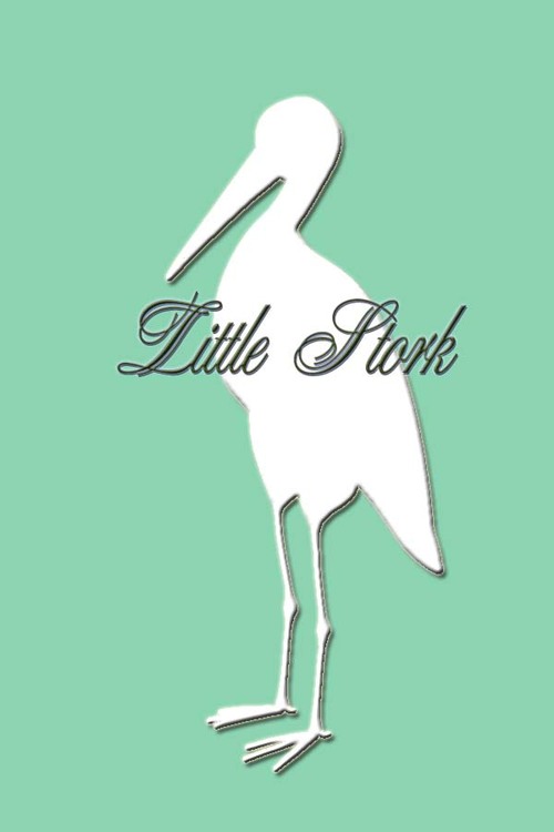 LittleStorkmom's profile picture. Attorney, Mother of one, created organic baby delivery bags for moms-to-be four years ago.