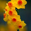 Georgina Robles Pach - @GeorginaRoblesP - Twitter