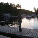 Janice Broughton - @janibro - Twitter