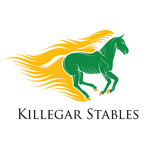 killegarstables's profile picture. 