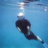 Paul Thorley (@monkeysentinel) 's Twitter Profile