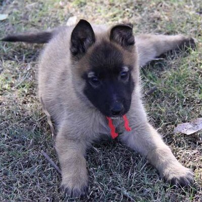 in_a_good_way's profile image