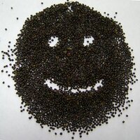 Rafael A García Araya (@ragarciaaraya) 's Twitter Profile