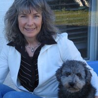 Dana Rederis (@danarederis) 's Twitter Profile
