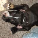 whitney shaffer - @new21shaffer - Twitter