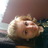 Profile Picture of Amelia Jeffery (@@ameliajeffery) on Twitter