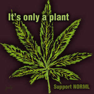 NORMLTERPS's profile picture. 