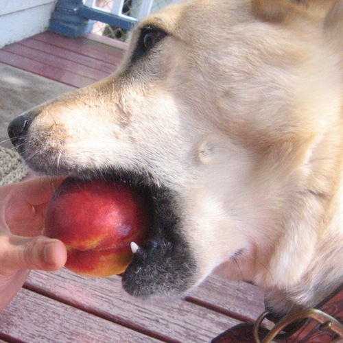 loveandbutter's profile picture. 