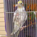 Francis Bird - @tweet_aloo - Twitter