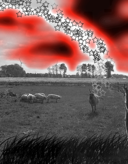 danathos's profile picture. 