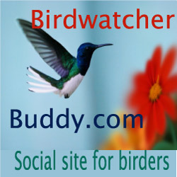 Developed a social site for birders, birdwatchers to meet, date, find friends and talk about birds.