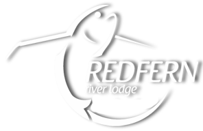 Fly in Fishing Adventures in BC Canada