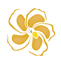 chabadecor's profile picture. No need to cut down trees! We retreive the old wood from torn down buildings, schools, boats, and homes in Thailand and create beautifully hand-crafted decor.