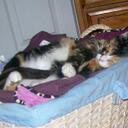 Casey Ostrowski - @gatorbeachgirl - Twitter