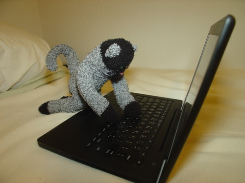 naryasece's profile picture. 