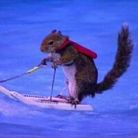 Lars (@wakeboardlars) 's Twitter Profile