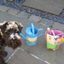 Gillian Dent - @talk2ted - Twitter