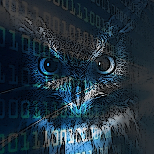 digital2real's profile picture. #OSINT #DEVOPS