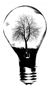 fabriquemusic's profile picture. fabrique: a new landscape of music.