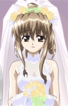 harukanogizaka's profile picture. I'm the founder of Venezia ebook shop. Internet marketing (IM), fitness, dog training, whatever genre, we have it!