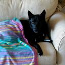 Samuel W. Henry - @SamuelWoodrow - Twitter