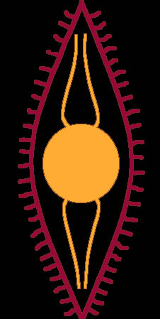 macaypantnagar's profile picture. 