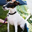 Layla Deytona Ball - @LaylaBall - Twitter