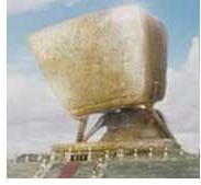 shelbiasi's profile picture. Marching to the beat of my own drum ⭐️