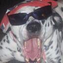 angela rhoades - @mortaua - Twitter