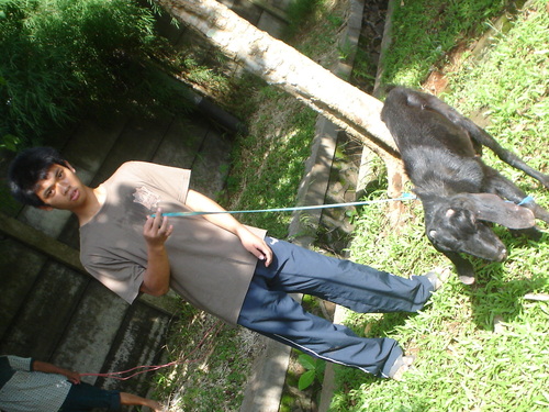 trisomi21's profile picture. 