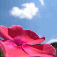 gartenmoebelguide (@gartenguide) Twitter profile photo