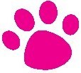 Gourmet dog treats, premium pet foods, toys, collars/leads, accessories and other doggie delights!