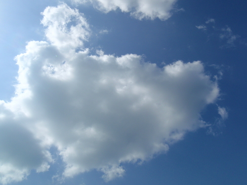 naotodonn's profile picture. 