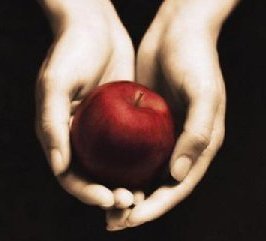 TwiFanDotCom's profile picture. We provide the number one video blog site for the Twilight saga. A must have for all Twilight fans!