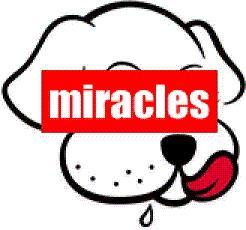 DJAKUT's profile picture. 加藤拓でございます。。 ライブDJが好きです。HIPでHOPなDJをする作業療法士を目指してます。 ちなみに人の身体障害、精神障害、発達障害についてあーだこーだ言うリハビリの人です。