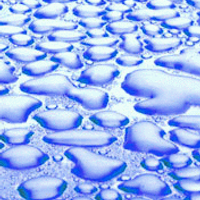 meanwhile (@meanwhile) 's Twitter Profile