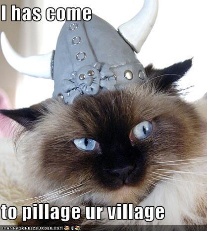 Browncatsrule's profile picture. I'm a cat. I pretty much sleep, eat and repeat cycle 24 / 7. Live with @earlthehutt who is a grouchy cat.