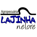 nelorelajinha's profile picture. 