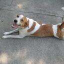 Pat Daugherty - @Bifama - Twitter