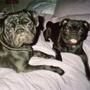 Terri Hildreth - @COCOLOVESLOUIE - Twitter